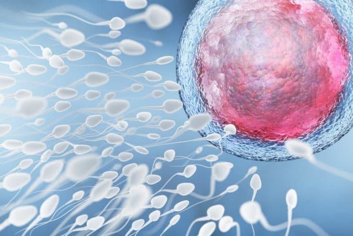 Аналіз сперми - це тест на фертильність чоловіків