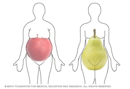 форму тіла яблук і груш