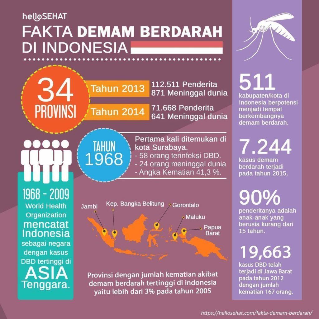 лихоманка денге в Індонезії