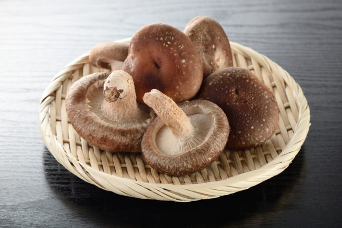 shitake переваги грибів