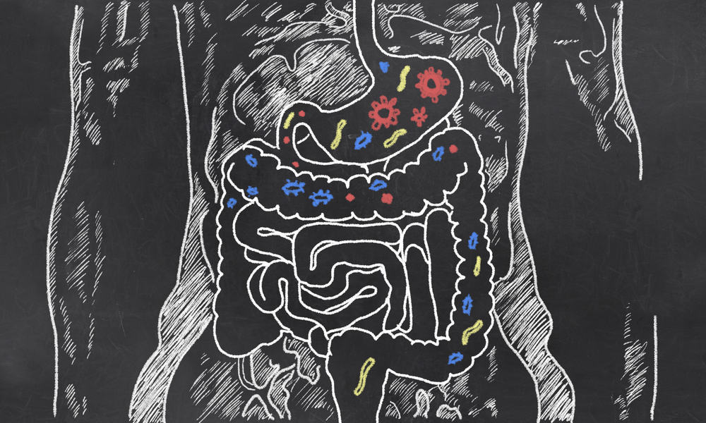 дієтичні структури на основі бактерій в кишечнику